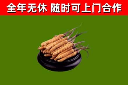 三亚市烟酒回收冬虫夏草.jpg